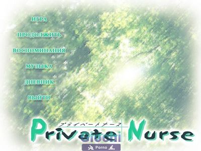 Private Nurse - Picture 2